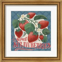 Framed 'Berry Breeze IV' border=