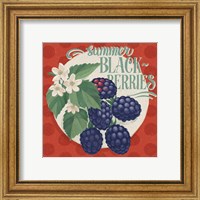 Framed 'Berry Breeze V' border=