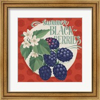 Framed 'Berry Breeze V' border=