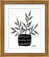 Framed 'Botanical Sketches IX' border=