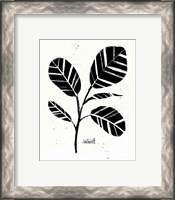 Framed 'Botanical Sketches IV' border=