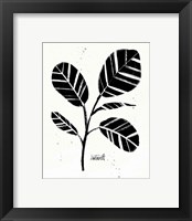 Framed 'Botanical Sketches IV' border=