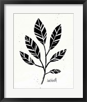 Framed 'Botanical Sketches III' border=