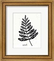 Framed 'Botanical Sketches II' border=