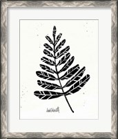 Framed 'Botanical Sketches II' border=