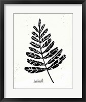 Botanical Sketches II Framed Print