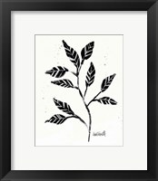 Framed 'Botanical Sketches V' border=