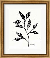 Framed 'Botanical Sketches V' border=