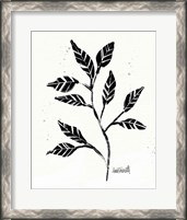 Framed 'Botanical Sketches V' border=