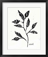 Framed Botanical Sketches V