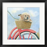 Beach Ride V Framed Print