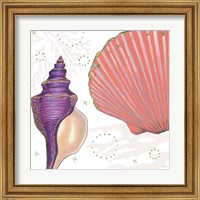 Framed 'Shimmering Shells I' border=