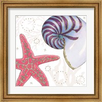 Framed 'Shimmering Shells II' border=