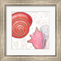 Framed 'Shimmering Shells IV' border=