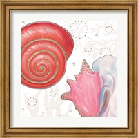 Framed 'Shimmering Shells IV' border=