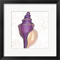 Framed 'Shimmering Shells IX' border=