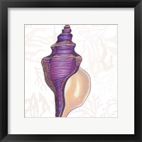 Framed 'Shimmering Shells IX' border=