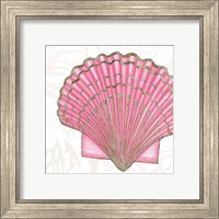 Framed 'Shimmering Shells V' border=