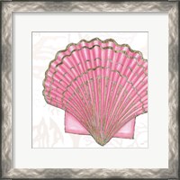 Framed 'Shimmering Shells V' border=