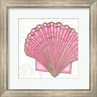 Framed 'Shimmering Shells V' border=