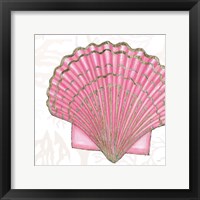 Framed 'Shimmering Shells V' border=