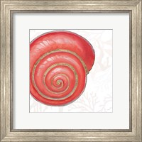 Framed 'Shimmering Shells VII' border=