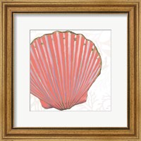 Framed 'Shimmering Shells XI' border=