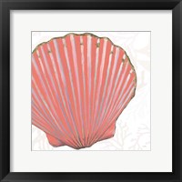 Framed 'Shimmering Shells XI' border=