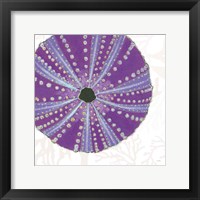 Framed 'Shimmering Shells XIV' border=