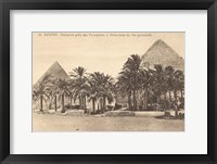 Framed Egypt Postcard II