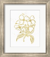 Framed 'Gold Blooms III' border=