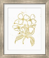 Framed 'Gold Blooms III' border=