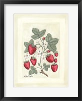 Framed Sweet Summer Strawberries I