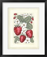 Framed Sweet Summer Strawberries II