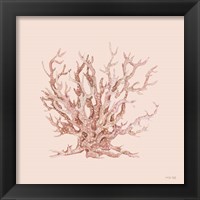 Framed 'Pink Coral II' border=