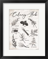 Framed Culinary Herbs