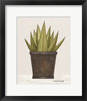 Potted Aloe Vera Framed Print