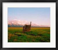 Framed After Rain