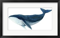 Framed Humpback Whale - Blue