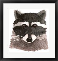 Framed Raccoon