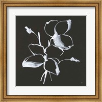 Framed 'Wildflowers IV' border=