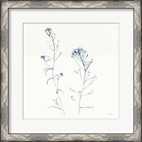 Framed 'Shepherds Purse Stems II Blue' border=