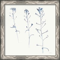 Framed 'Shepherds Purse Stems I Blue' border=