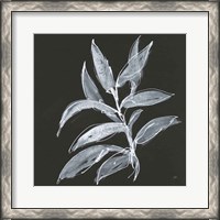 Framed 'Branch IV' border=