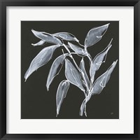 Branch II Framed Print