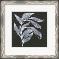 Framed 'Branch I' border=