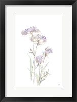 Tall Queen Annes Lace II Framed Print