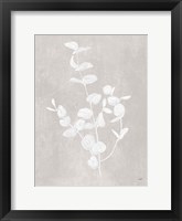 Botanical Study II Neutral Crop Framed Print