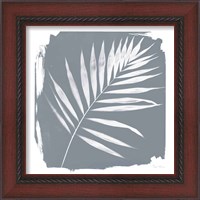 Framed 'Nature by the Lake Frond II Sq Natural' border=