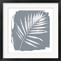 Framed 'Nature by the Lake Frond II Sq Natural' border=